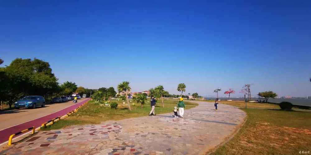 与悠然恬淡的海鸥岛农家田园风光, 中途在休闲驿站,湿地公园