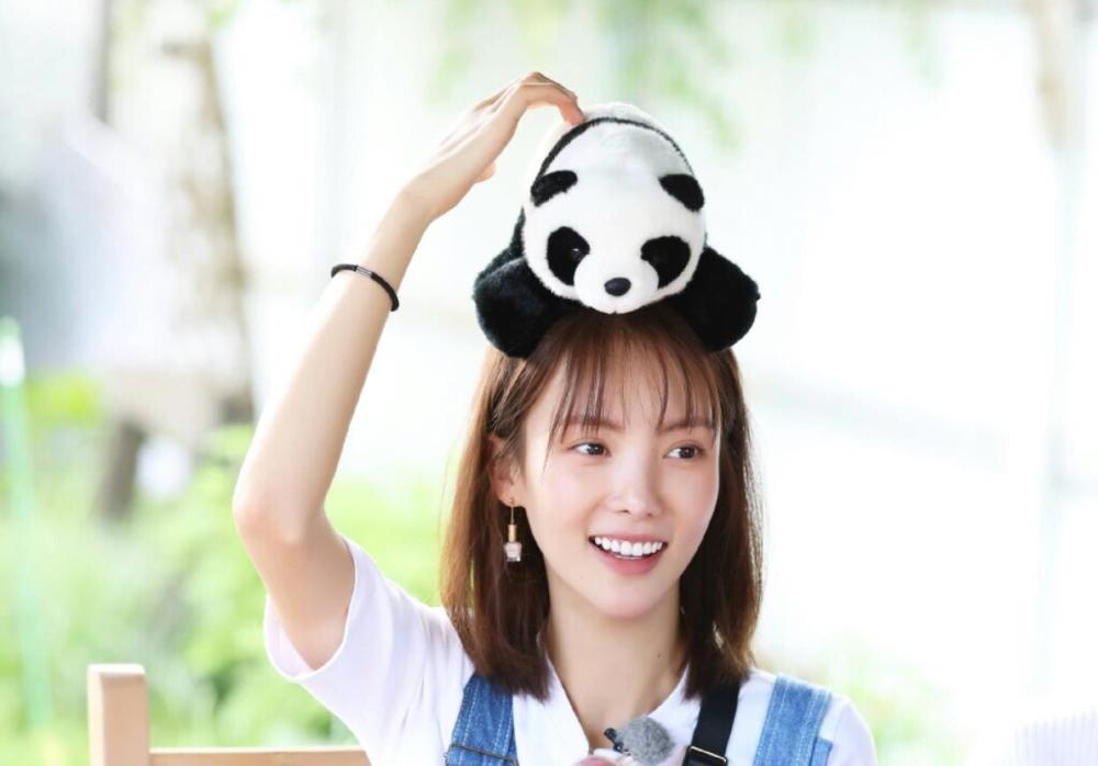 金晨的脸,究竟是从什么时候开始变的?