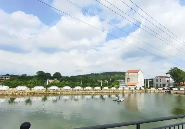大悟县河口镇顺山村(资料图) 图源:孝感日报 环境美了——城镇乡村