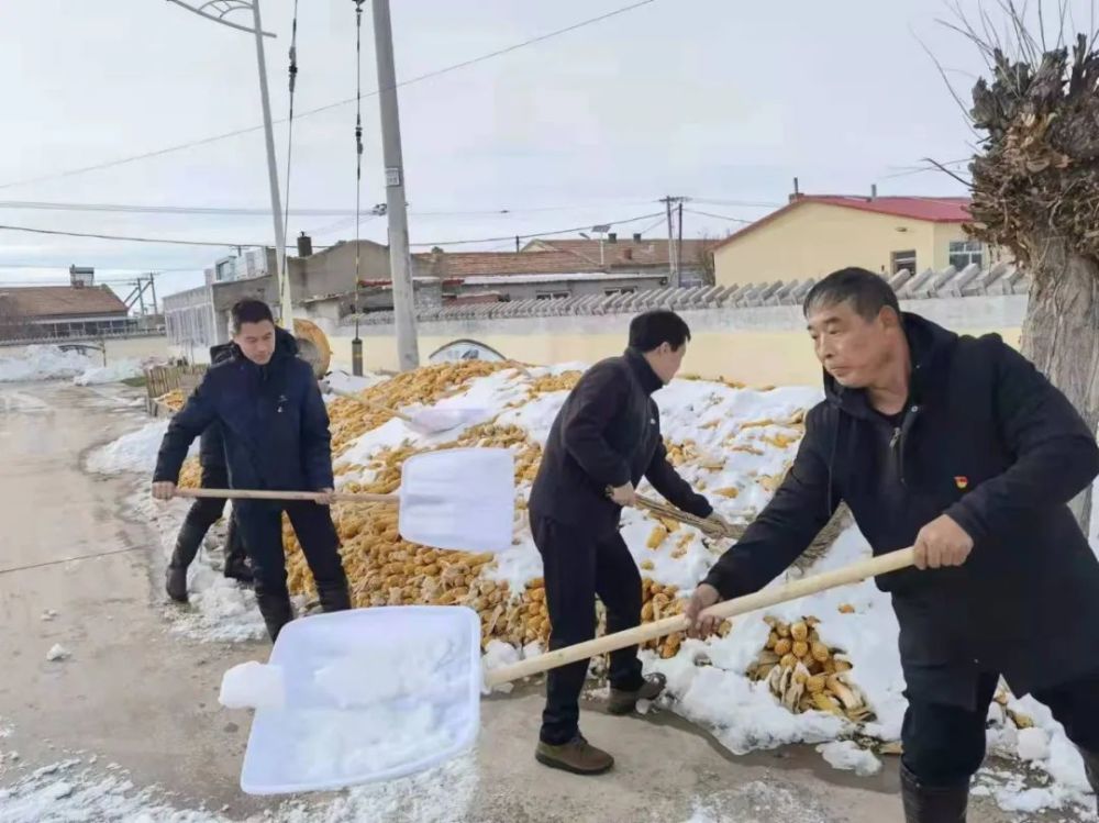 奈曼农民关于地趴粮你想知道的都在这