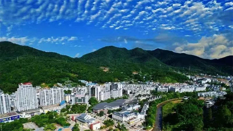一天一点普洱2297梦萦江城戏说江城四大怪
