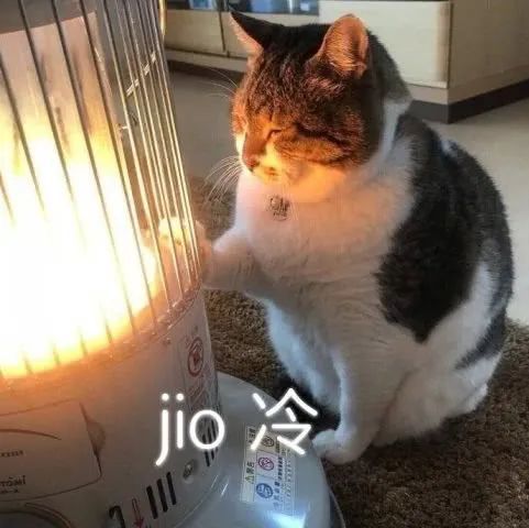适合冬天发的沙雕朋友圈文案