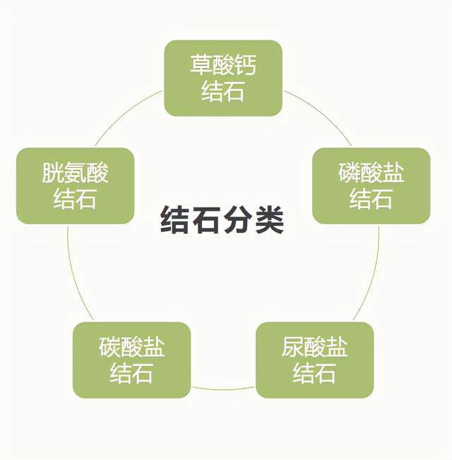 通常尿路结石以多种盐类混合形成,上尿路结石以草酸钙结石多见.