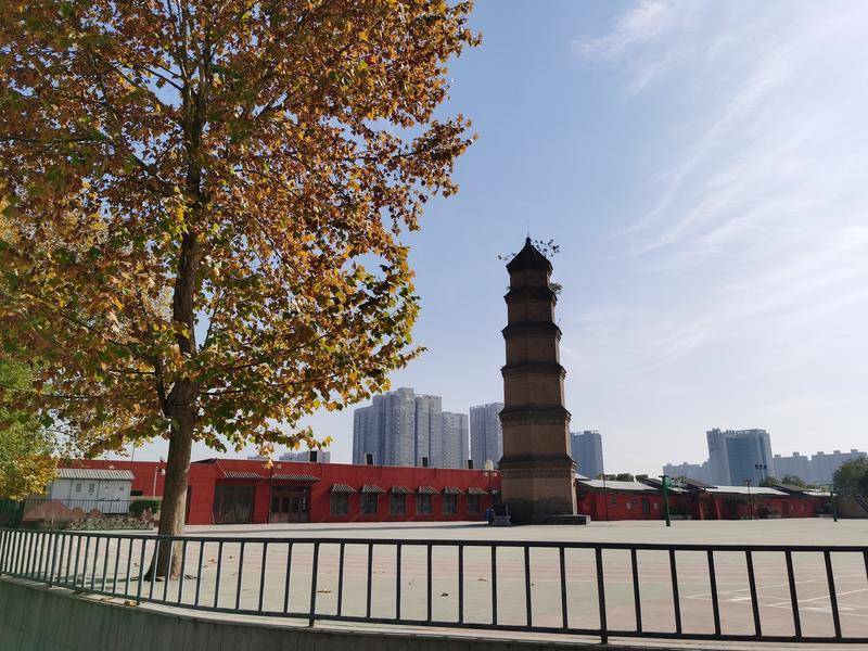 据西光中学高中部后勤部门负责人介绍,发现塔身长树后,今年9月23日已
