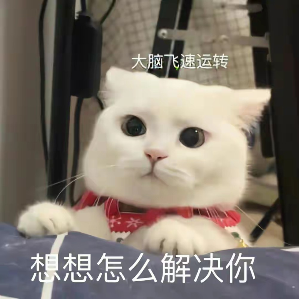 搞笑表情包让我想想怎么解决你