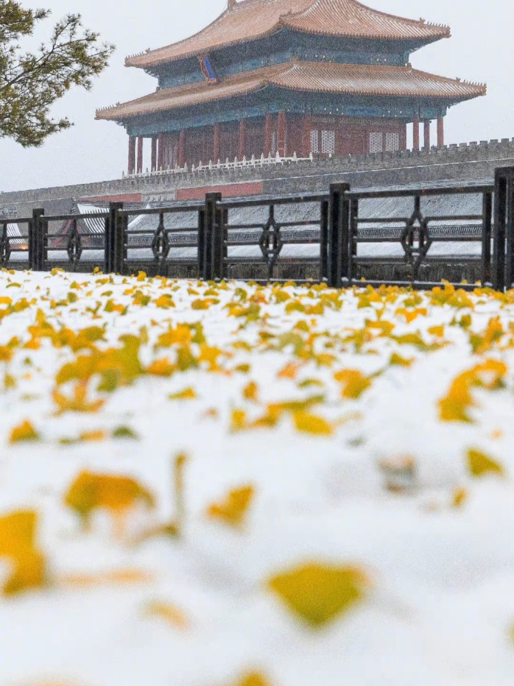 精美壁纸故宫雪那座四方城
