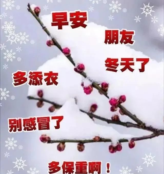 天冷了关心朋友的暖心早安祝福语句,朋友圈天冷了的