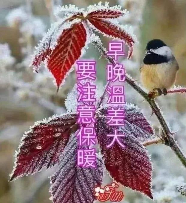 天冷了关心朋友的暖心早安祝福语句,朋友圈天冷了的