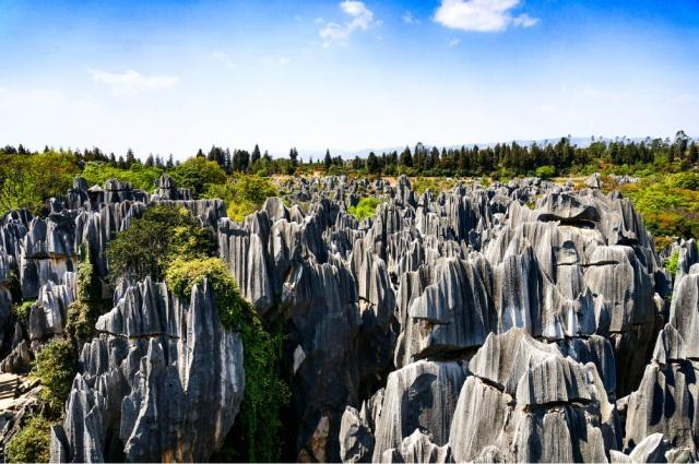 中国云南石林又以其面积广,岩柱高,小尺度造型见长,一定范围内景点