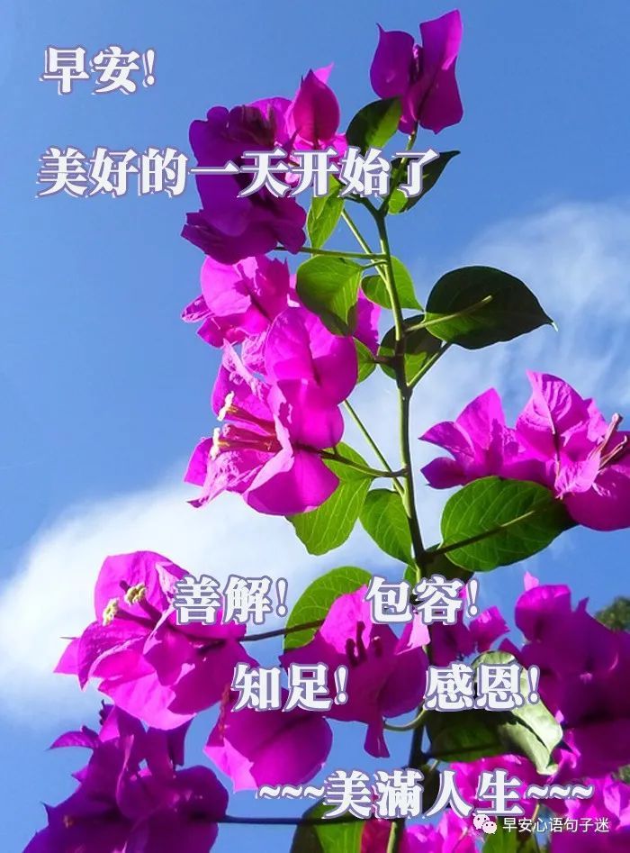 早安问候语 带问候的早安图片大全