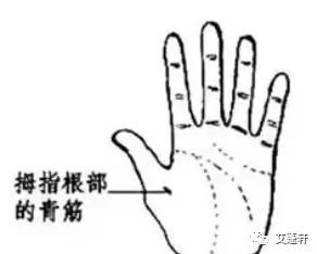 大拇指侧青筋明显这代表头部供血不足,经常头痛,头晕.