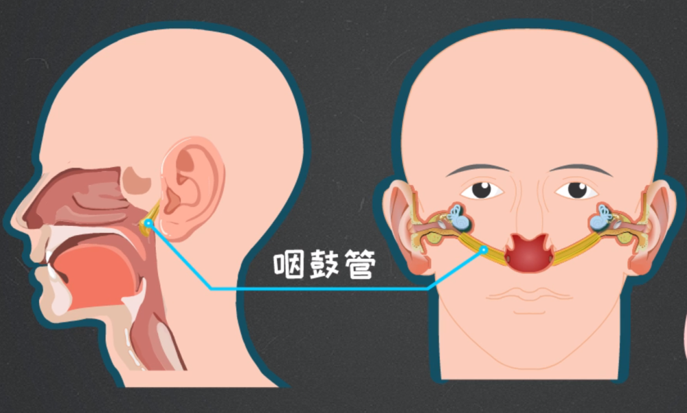 反复耳闷,竟是咽鼓管功能障碍!