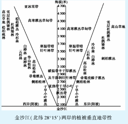 【备考攻略】浅析垂直地带性分异规律在高考中的解题思路及命题方向