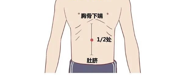 从剑突的位置开始到肚脐的中央,取中点,这个穴位就是中脘穴.