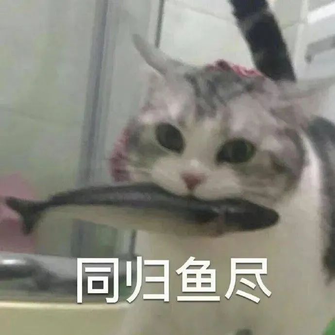 表情包:大开眼界