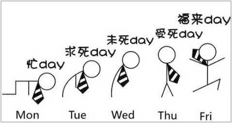 周一的我 vs 周五的我