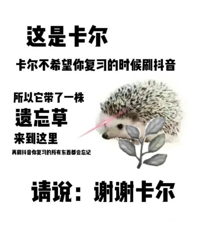 谢谢你卡尔