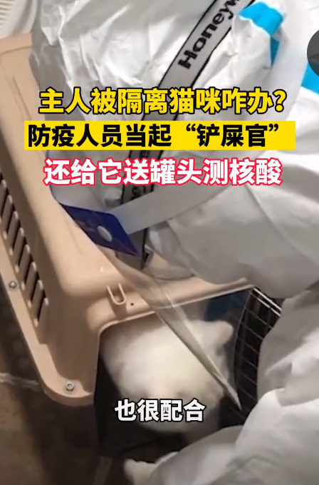 主人被隔离猫咪咋办?防疫人员当起"铲屎官",给它送罐头,超暖心!