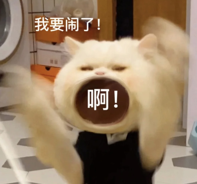 发给对象撒娇的表情包
