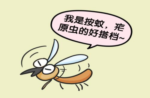 疟疾是经按蚊叮咬或输入带疟原虫者的血液而感染疟原虫所引起的虫媒