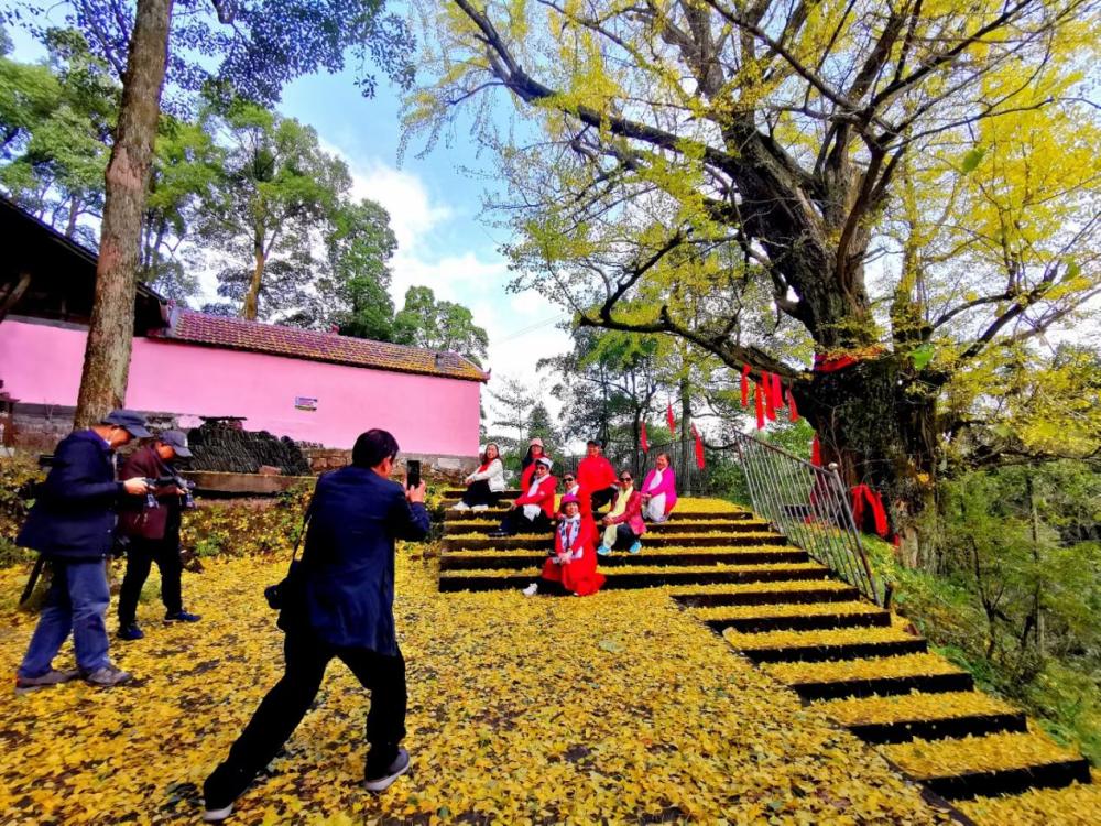 泸溪县天桥山自然保护区层林尽染叠翠流金风景优美