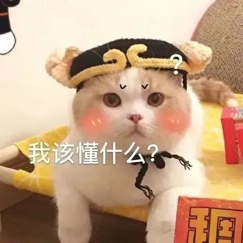 表情包心情很复杂