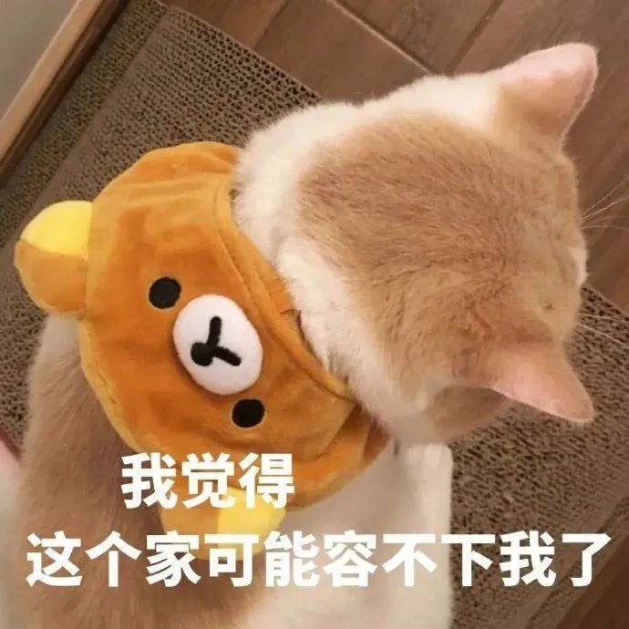 表情包心情很复杂