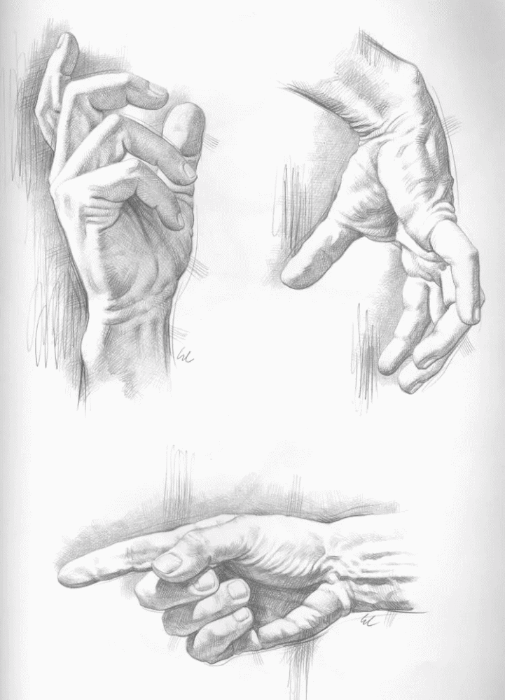 每根手指之间的折叠关系下面是手绘板画手的步骤,和素描的基本原理是