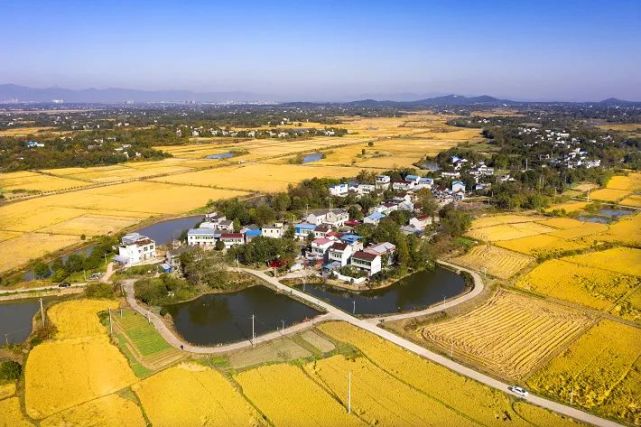 在枞阳县麒麟镇梅花村,村民们正在文化广场上健身,聊天.