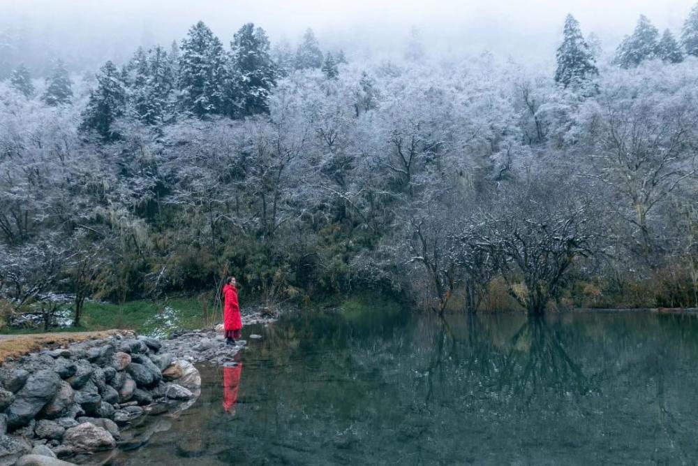 冰雪映彩林这个冬日汶川给你点颜色瞧瞧