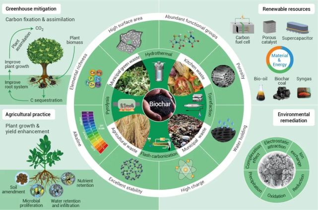 (3) to integrate ecological strategies optimizing biochar