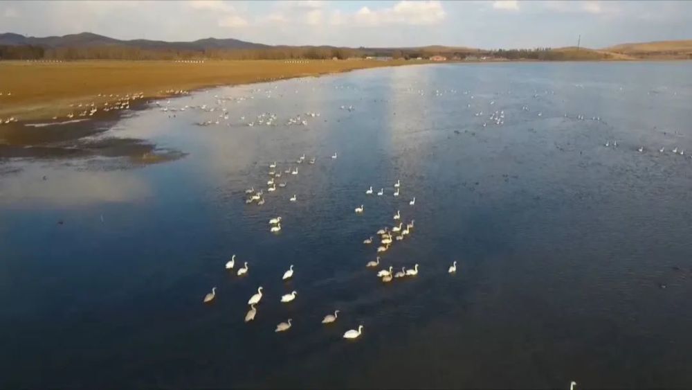 相约冬奥筑梦向未来张家口冬奥之城湿地美景