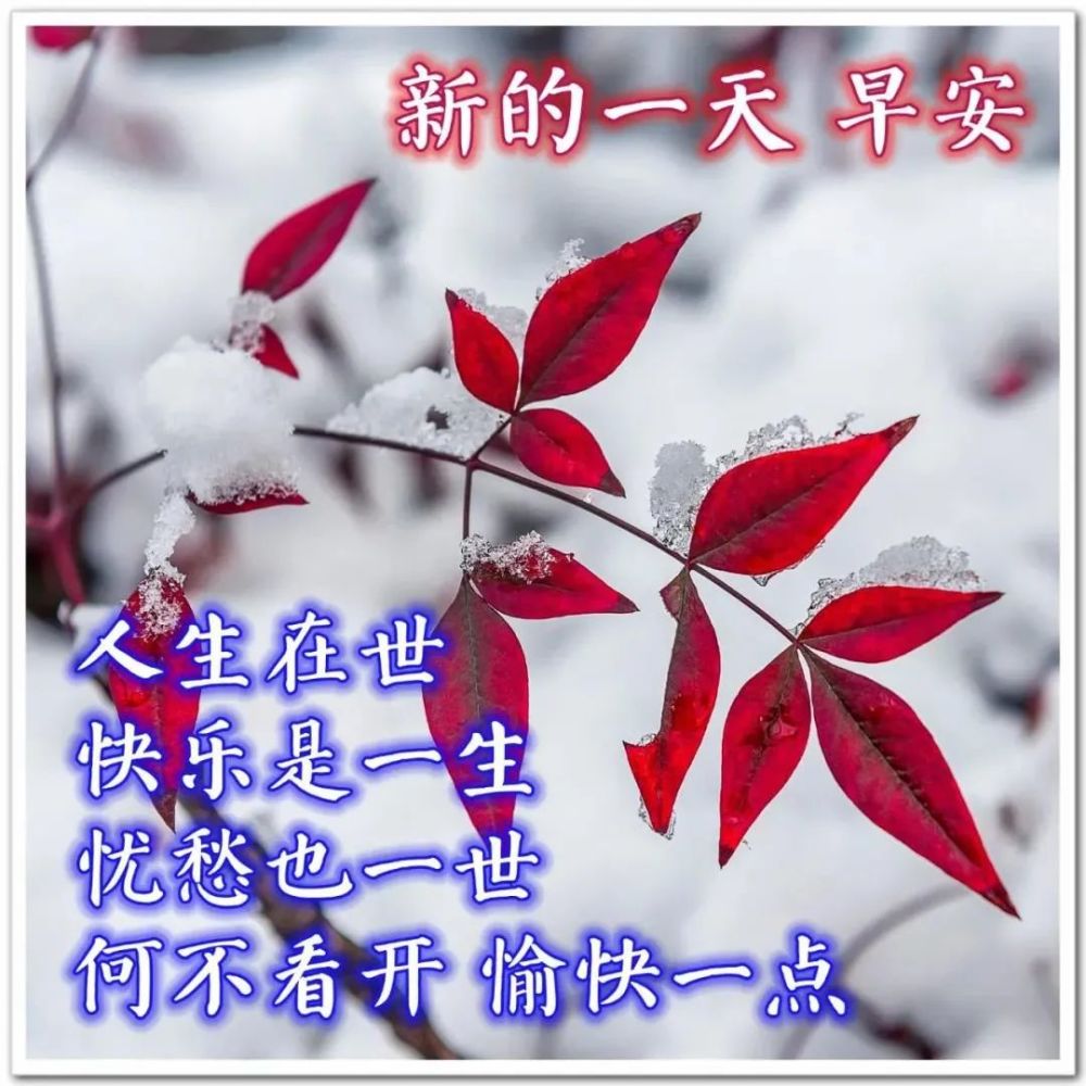 冬日早上好祝福语免打字聊天的冬日清晨早安问候祝福语暖心图片