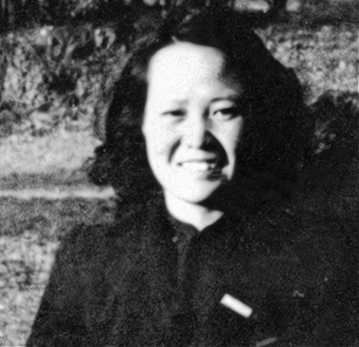 傅冬菊是傅作义的女儿,北平和平解放立大功,她的官职为何不高?