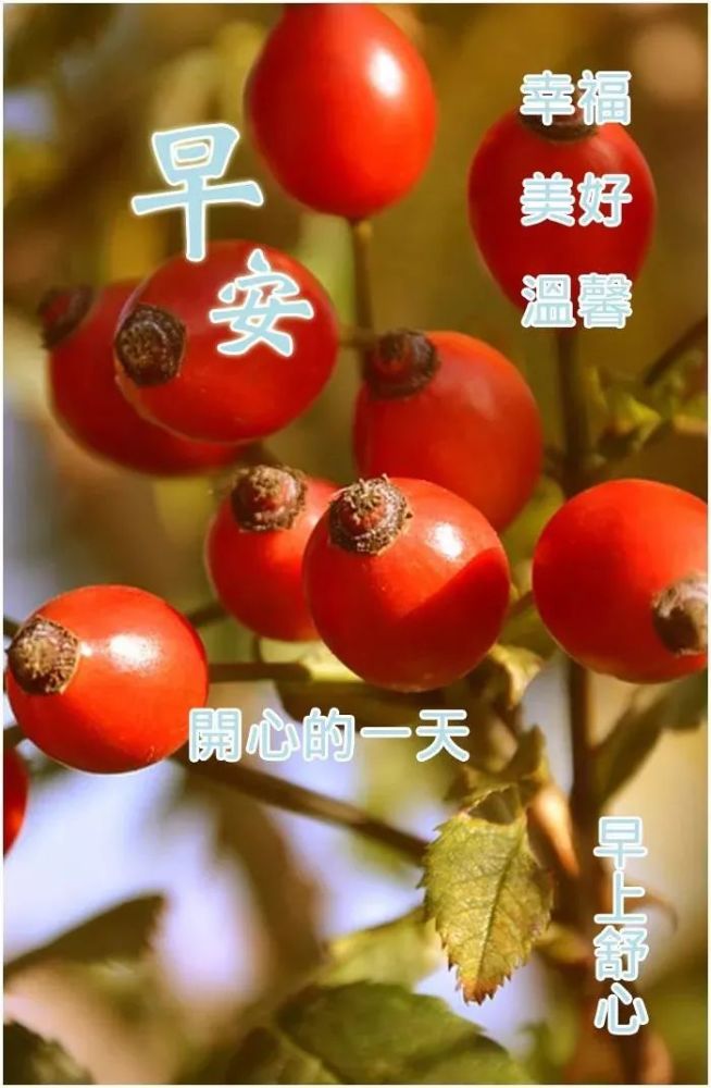 每天"嘻喳喳",晨风呼唤鼓掌快乐"哗啦啦",送你祝福短信让你健康"