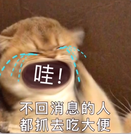 抖音热门表情包 | 起床啦小懒猪