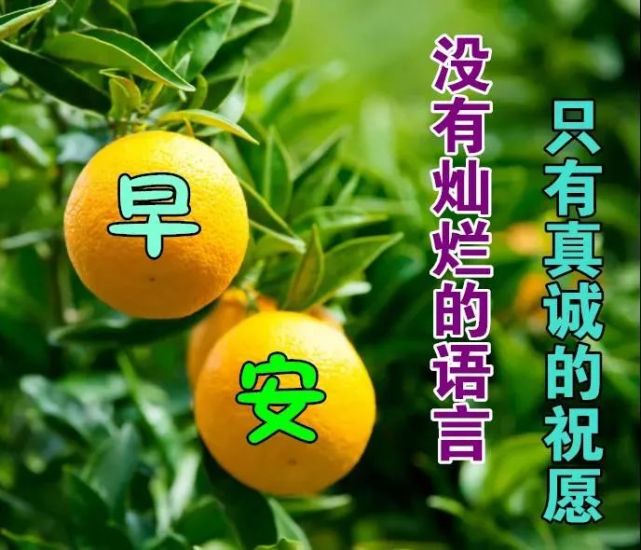 11月16日早上好日常祝福语大全,早晨好日常问候语录