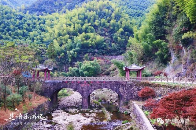 浙江四明山深处有一个古村,枫叶漫山谷,银杏映清溪,太