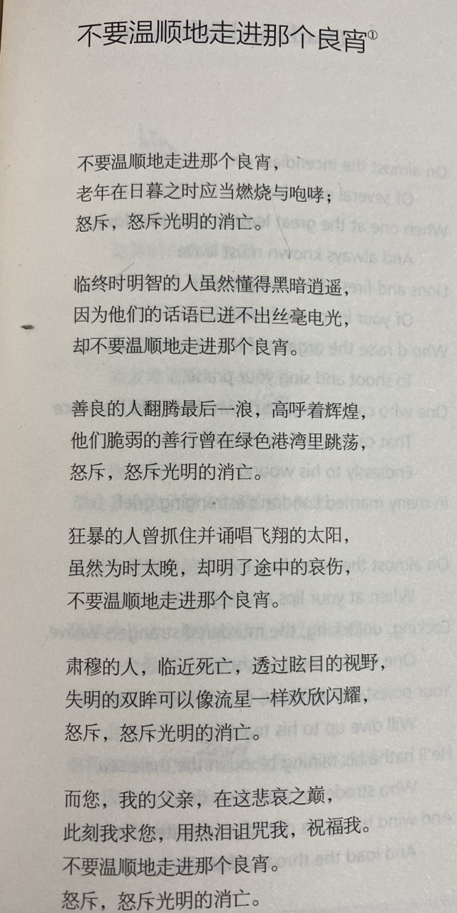 充斥着白昼与黑夜,黑暗与光明,温和与狂怒,生与死的对立,全诗粗犷而