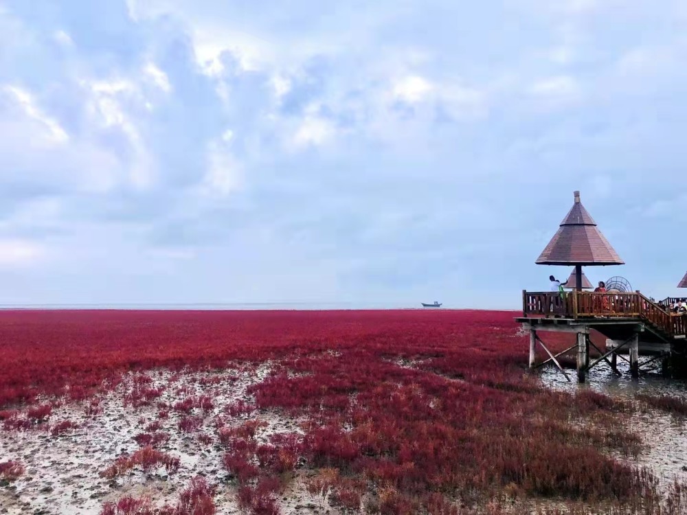 美的令人心颤盘锦红海滩