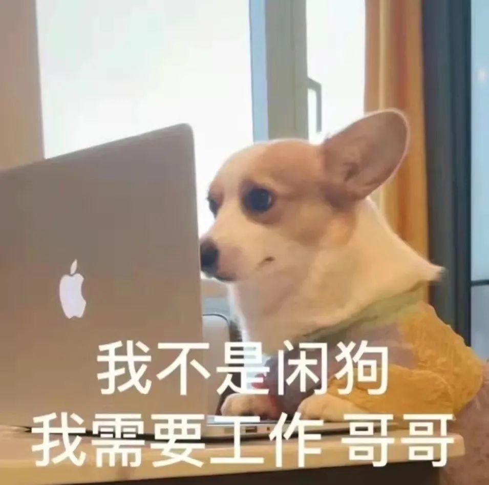 我不是闲狗我需要上课妹妹我不是闲狗我需要工作上班哥哥
