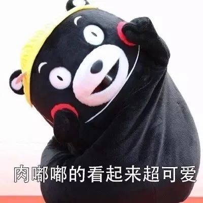熊本熊表情包胖嘟嘟的你很可爱手感好诶