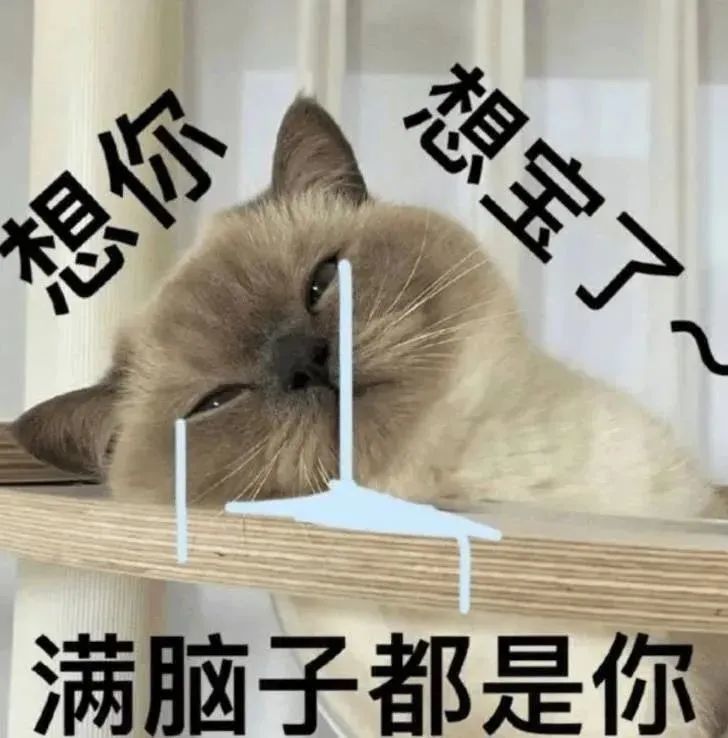 沙雕表情包我爱你有错吗