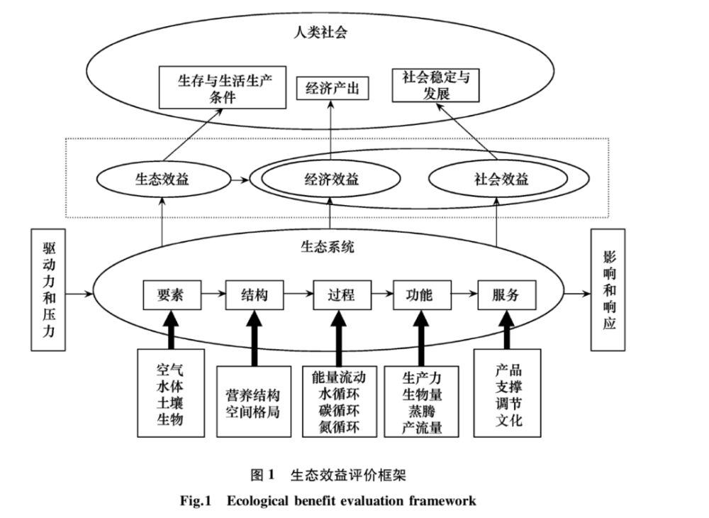 调节和文化服务具有支撑作用,并不作为最终生态系统服务评价内容调节