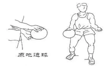 原地高运球原地低运球运球急起急停体前变向运球运球转身持球突破交叉