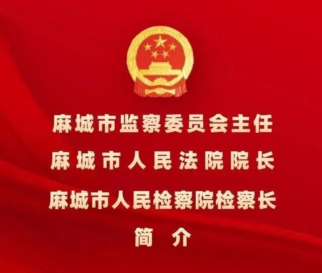 政协麻城市第十届委员会主席,副主席,秘书长简历麻城市新当选的人民