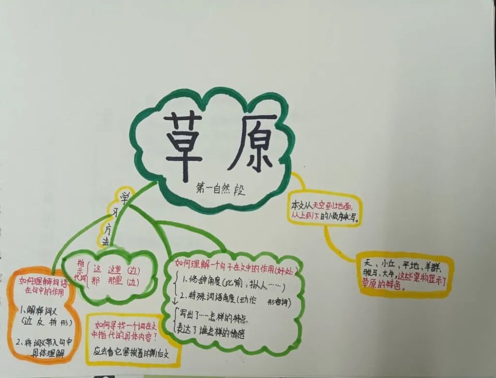 共话"双减","语"你同行——记桑梓小学语文特色作业设计