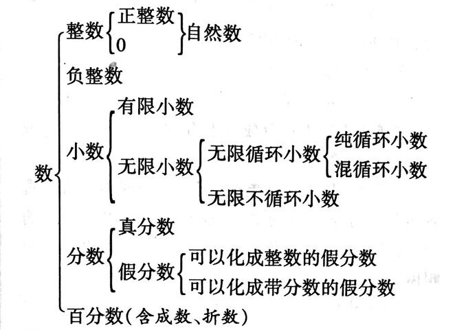 数的认识,自然数,负数和整数的定义