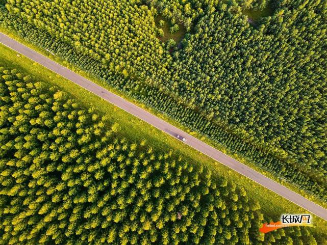 是播种绿色之路捍卫绿色之路绿色发展之路如今塞罕坝被誉为"花的世界