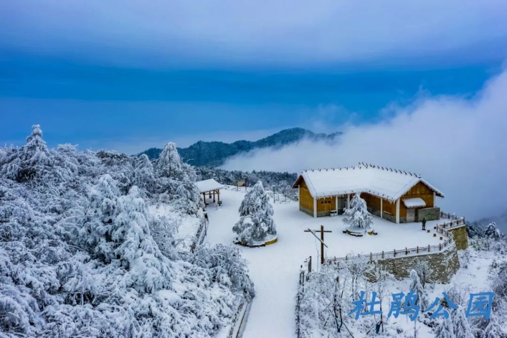 巴山大峡谷又下雪 啦!你们要的冬天正在赶来的路上!